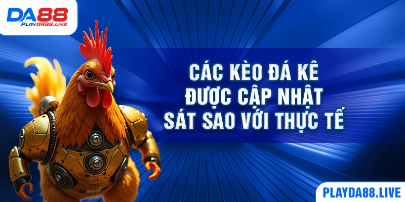 Các kèo đá kê được cập nhật sát sao với thực tế