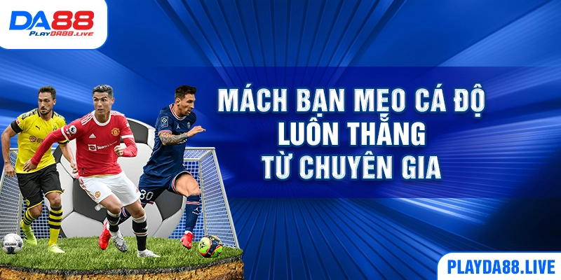 Mách bạn mẹo cá độ luôn thắng từ chuyên gia